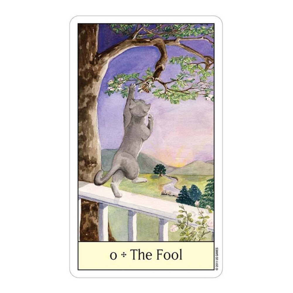 Cats Eye Tarot 12x7 cm Card Ga - Tarot Deck With Guidebook ulasan dan harga